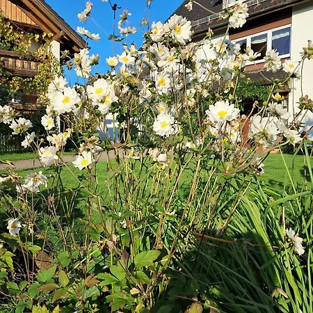 Obst- Und Marschall Apartmán Wasserburg