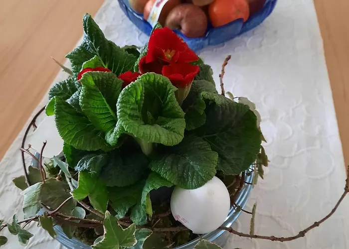 Lejlighed Obst- Und Marschall