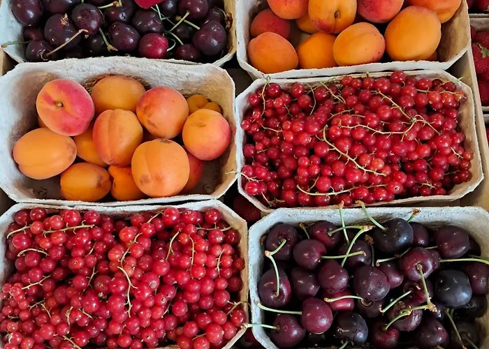 Obst- Und Marschall Lejlighed *