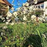 Obst- Und Marschall Apartmán Wasserburg
