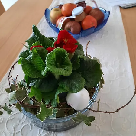 公寓 Obst- Und Marschall